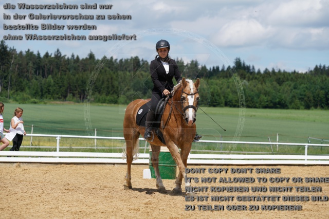 s_K3F04476.JPG